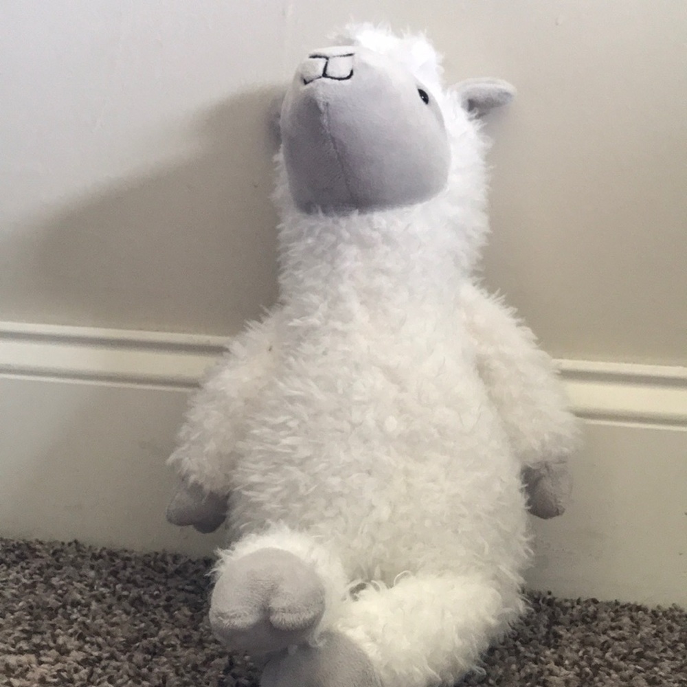 Little stuffed lamb